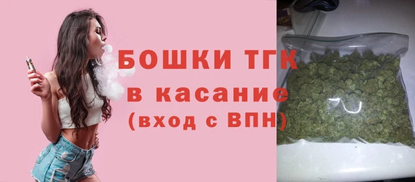 индика Баксан