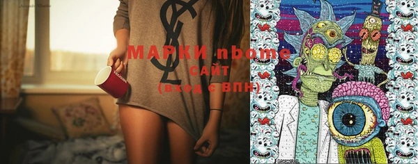 индика Баксан