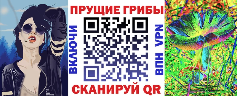 как найти наркотики  Ленск  Галлюциногенные грибы мицелий 